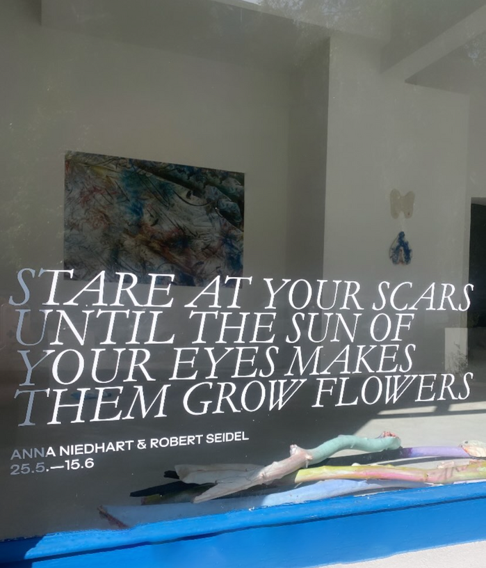 Anna Niedhart &amp; Robert Seidel – Stare at Your Scars Until the Sun of Your Eyes Makes them Grow Flowers 5