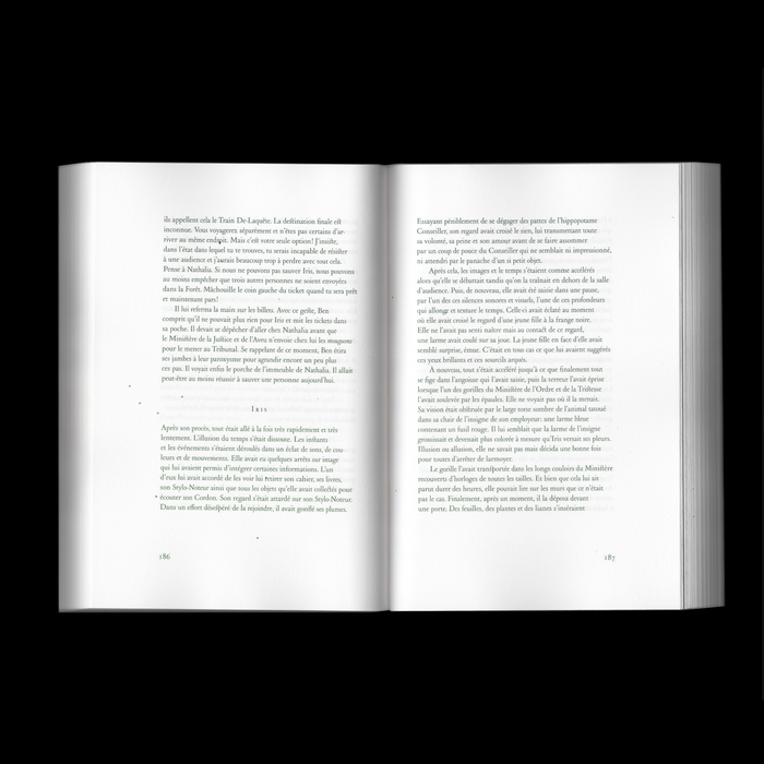 The Quest, Vol. I by Natacha Pincemaille-Neveu 6