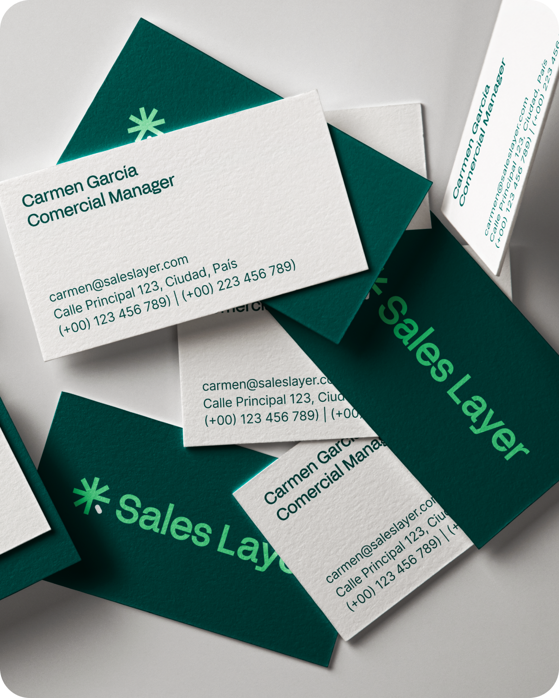 Sales Layer - Fonts In Use