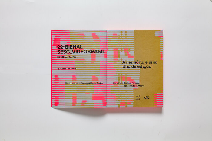 22º Bienal Sesc_Videobrasil 10