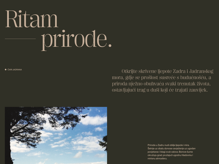 Mediteranski San website 8