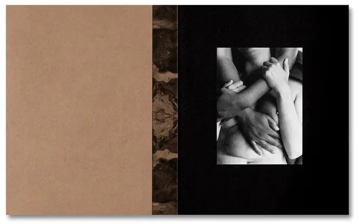 Tee A. Corinne: A forest fire between us 2