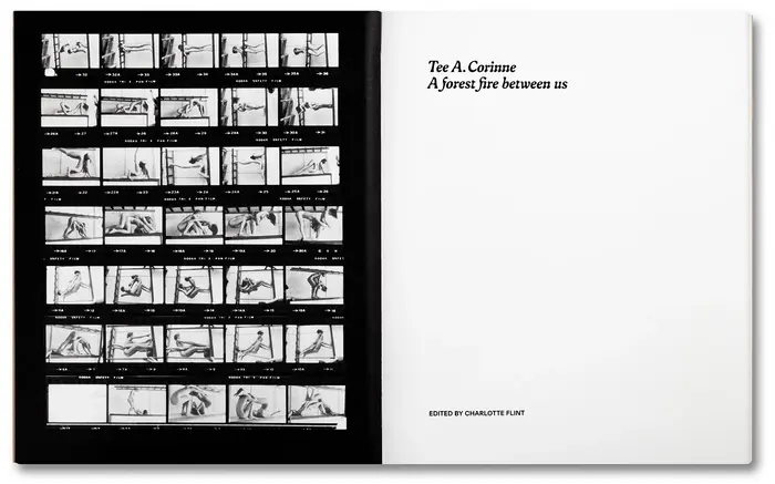 Tee A. Corinne: A forest fire between us 3
