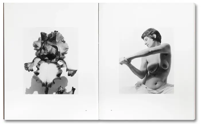 Tee A. Corinne: A forest fire between us 4