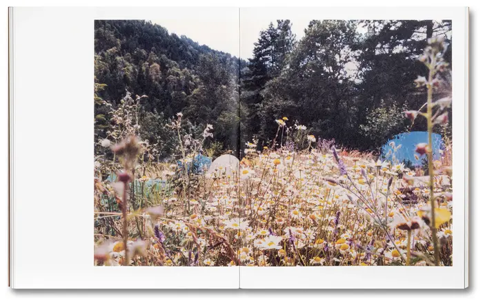 Tee A. Corinne: A forest fire between us 5