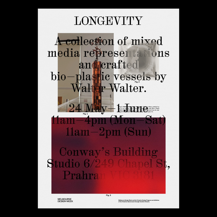 LONGEVITY by Walter Walter 1