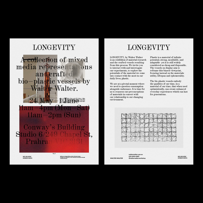 LONGEVITY by Walter Walter 5