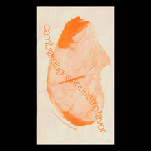 <cite>Cambiare</cite>­<cite>laguaa</cite>­<cite>nuestrofavor</cite> zine by Marianne Hoffmeister Castro