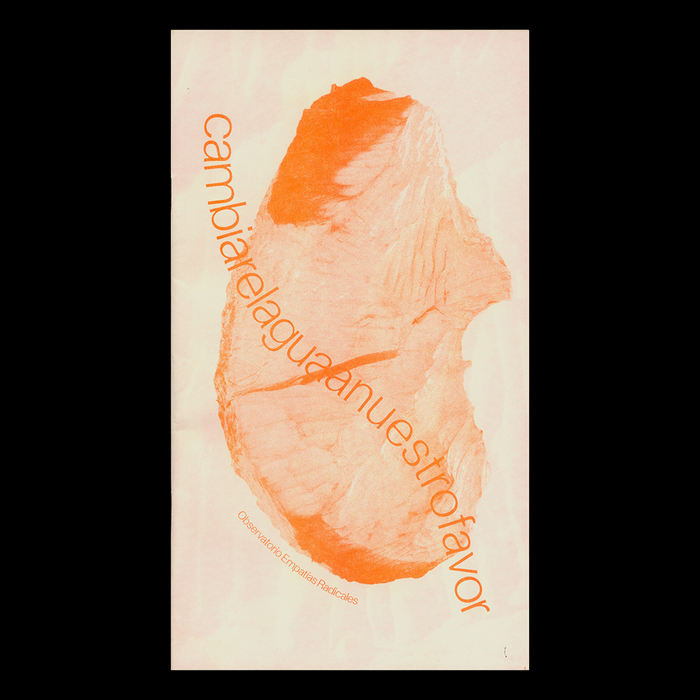 Cambiare­laguaa­nuestrofavor zine by Marianne Hoffmeister Castro 1
