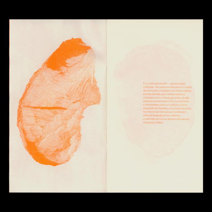 Cambiare­laguaa­nuestrofavor zine by Marianne Hoffmeister Castro 2
