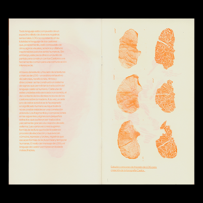 Cambiare­laguaa­nuestrofavor zine by Marianne Hoffmeister Castro 3