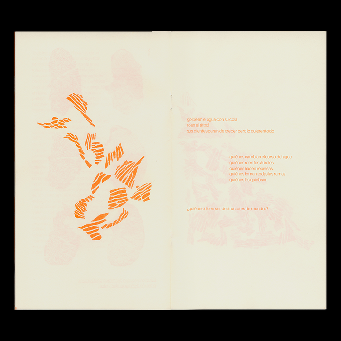 Cambiare­laguaa­nuestrofavor zine by Marianne Hoffmeister Castro 4