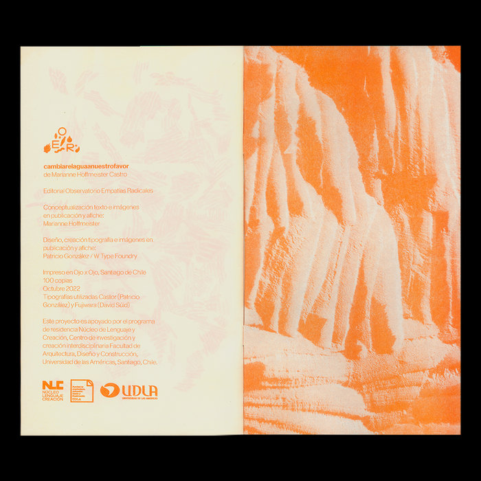 Cambiare­laguaa­nuestrofavor zine by Marianne Hoffmeister Castro 5