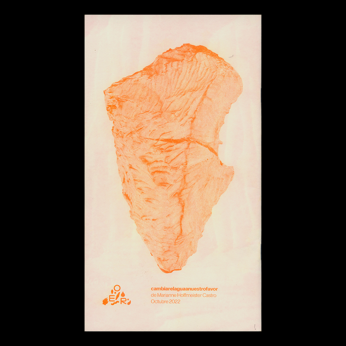 Cambiare­laguaa­nuestrofavor zine by Marianne Hoffmeister Castro 6