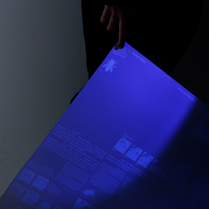 “Animal Vision, Part 2” poster 3