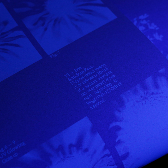 “Animal Vision, Part 2” poster 5