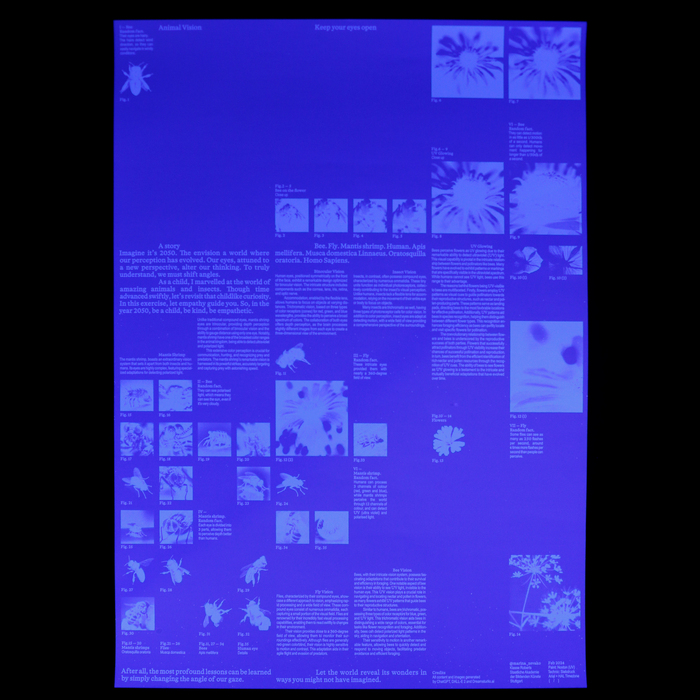 “Animal Vision, Part 2” poster 2