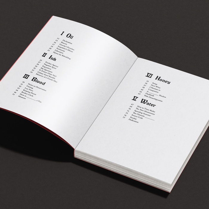 Ten Thousand Ventures by Nevin Allen 2