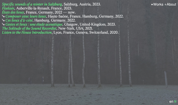 Lise Lebleux website 4