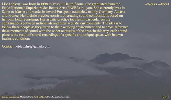 Lise Lebleux website 5