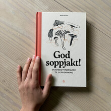 <cite>God Soppjakt!</cite> by Mette Alstad