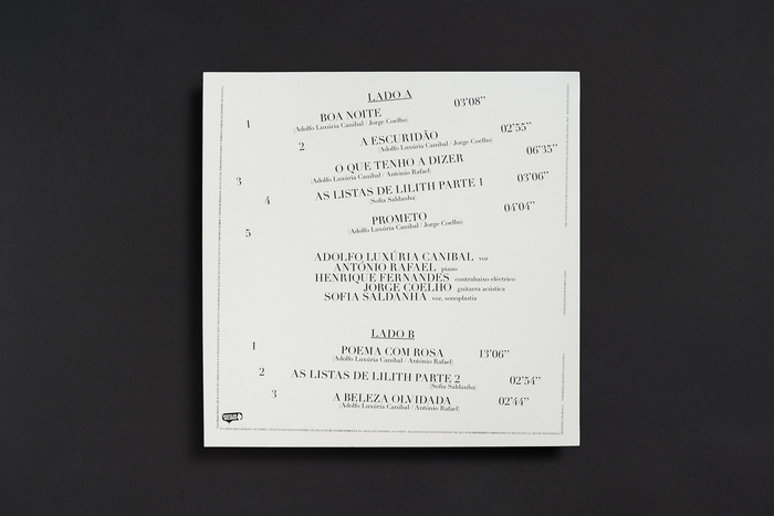 Vinyl back cover