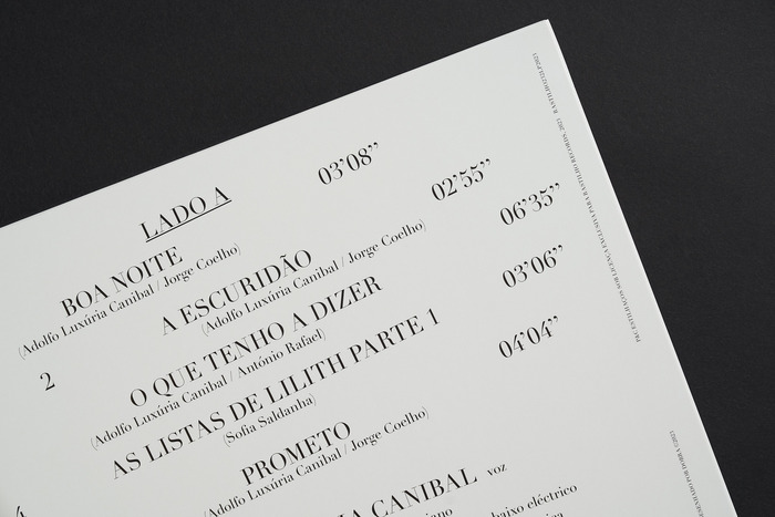 Vinyl back cover detail