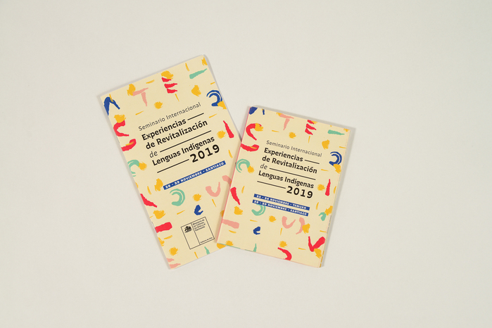 Chilean indigenous language revitalization program 3