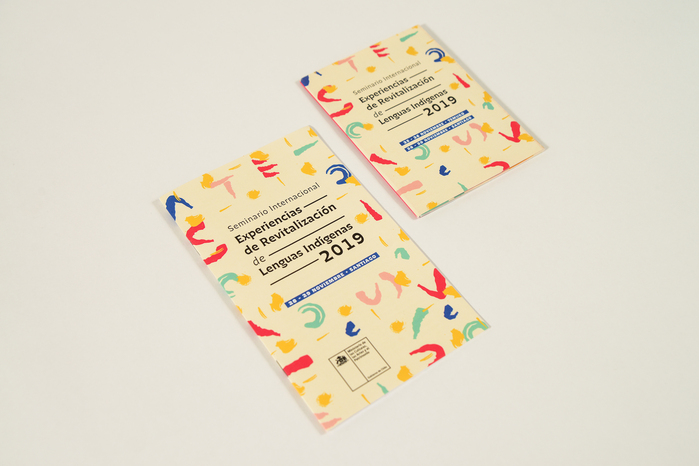 Chilean indigenous language revitalization program 4