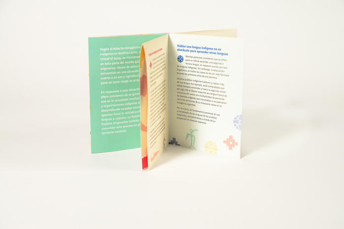 Chilean indigenous language revitalization program 6