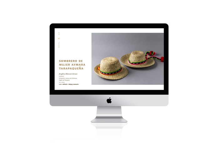 Chilean indigenous language revitalization program 10