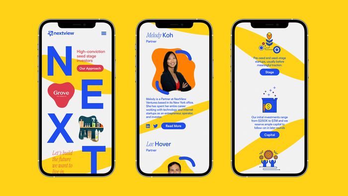 NextView website 1