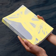 <cite>Attila cataracte ta source aux pieds des pitons verts finira dans la grande mer gouffre bleu</cite>, French Pavilion catalog, <span></span> <span>60th Venice Biennale</span>