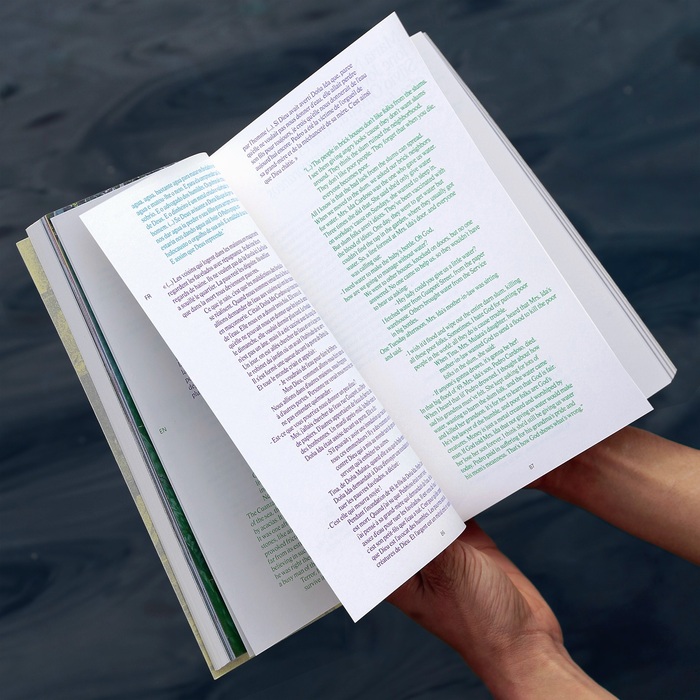 Attila cataracte ta source aux pieds des pitons verts finira dans la grande mer gouffre bleu, French Pavilion catalog,  60th Venice Biennale 5