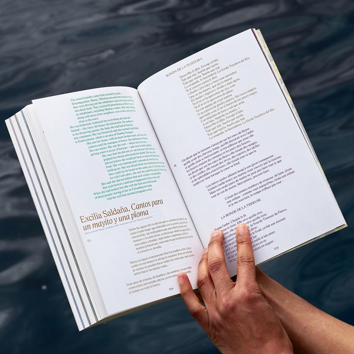 Attila cataracte ta source aux pieds des pitons verts finira dans la grande mer gouffre bleu, French Pavilion catalog,  60th Venice Biennale 4
