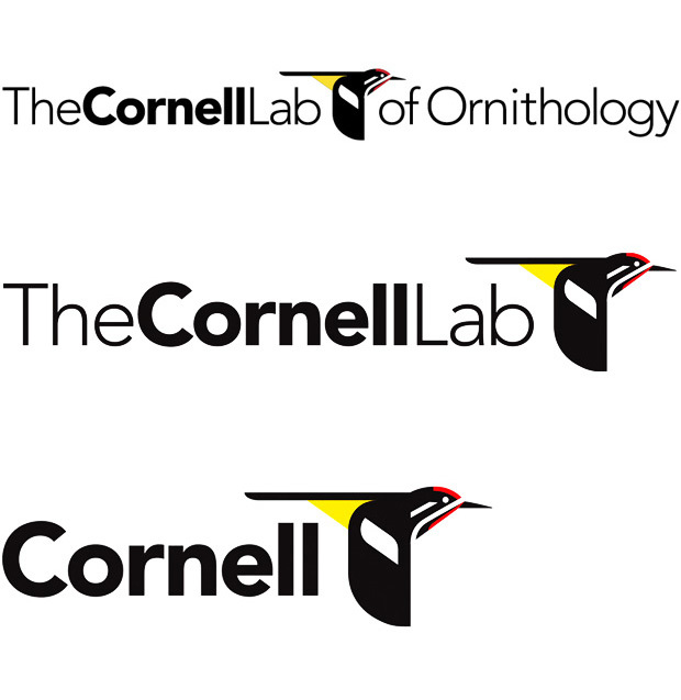 The Cornell Lab of Ornithology