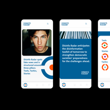 Disinfo Radar -Visual Identity