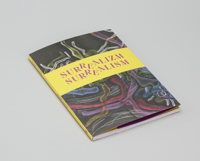 Surrealizm. Inne mity / Surrealism. Other Myths exhibition, National Museum in Warsaw 7