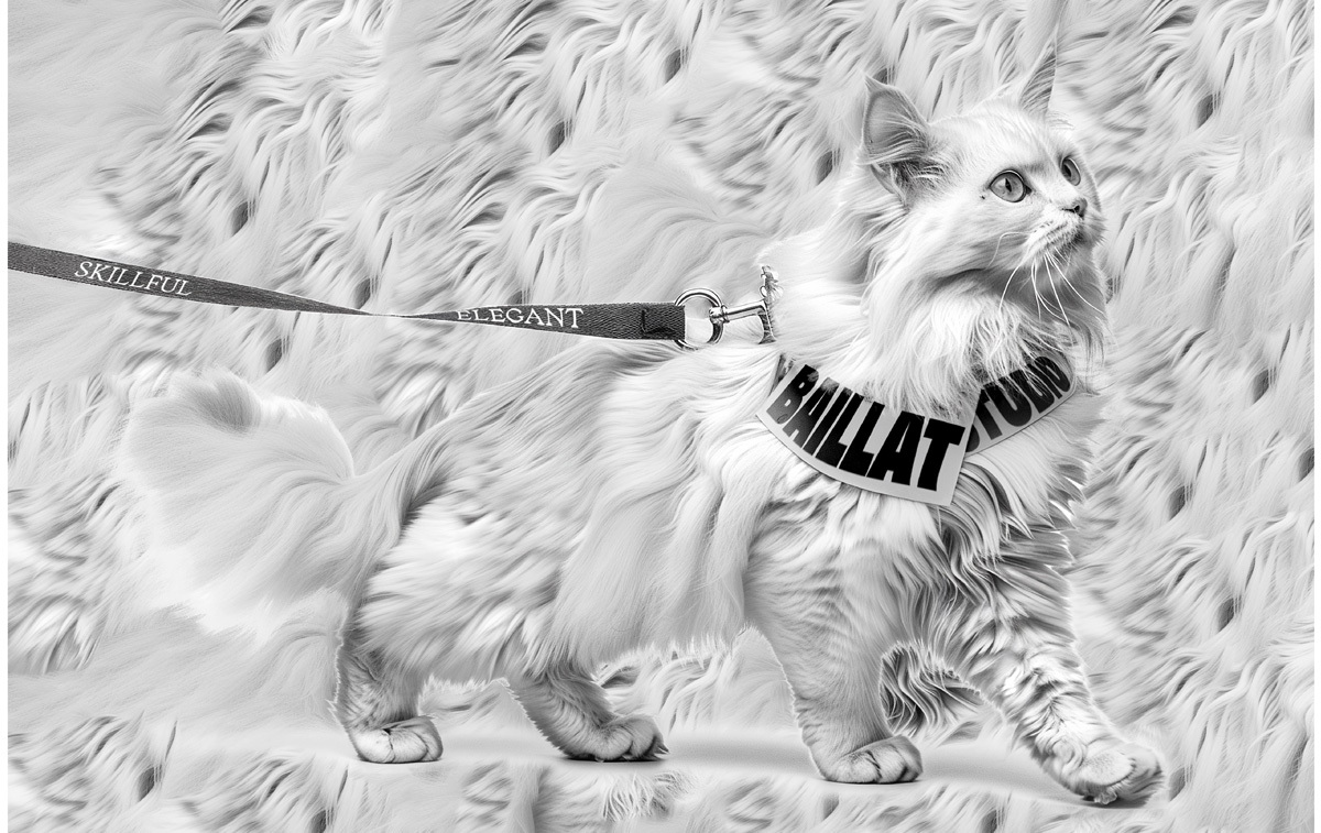 Chalendrier / Catlendar