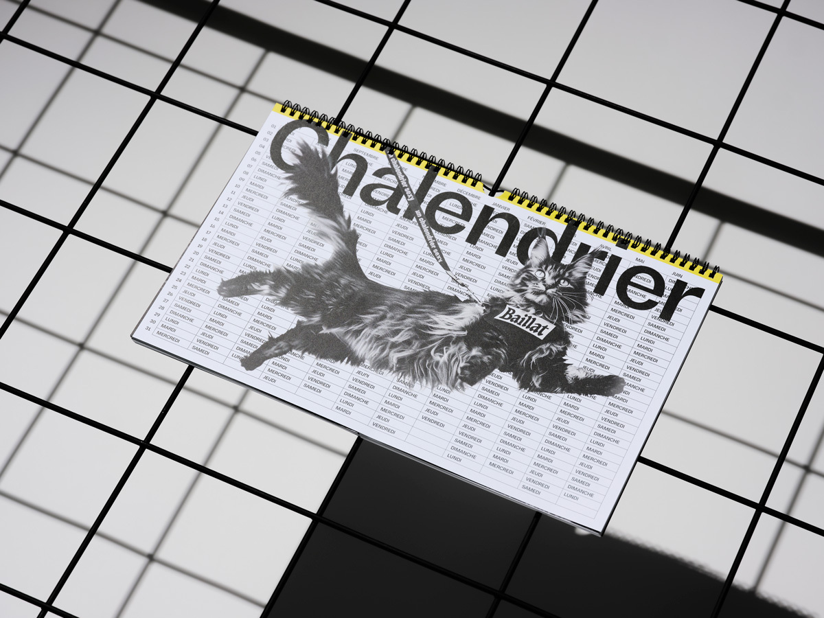 Chalendrier / Catlendar