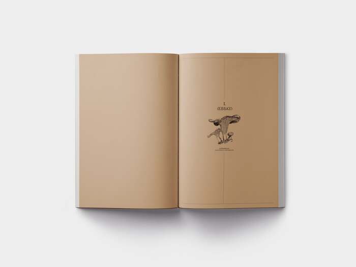John Cage: A Mycological Foray 3