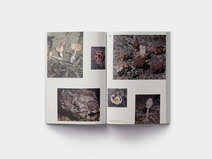 John Cage: A Mycological Foray 5