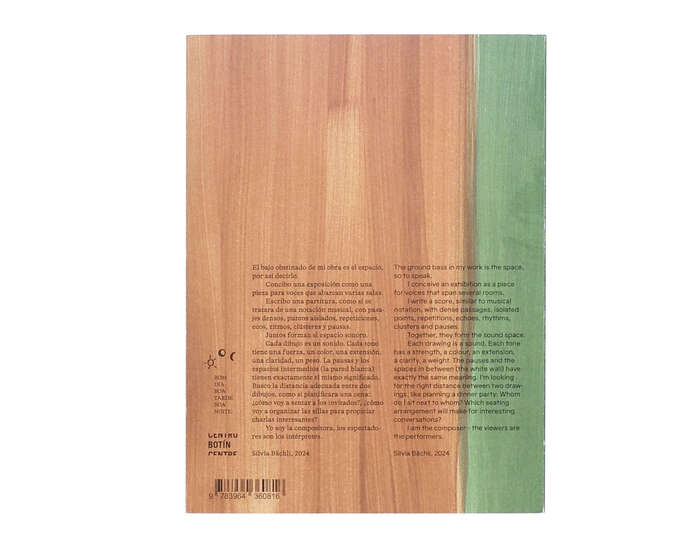 Silvia Bächli: Partitura 9