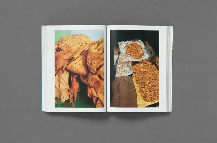Neither, vol. 1, “No Grand Narrative” 7