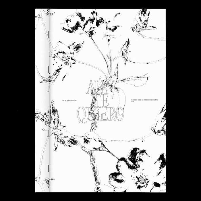 Aún te Quiero zine 1