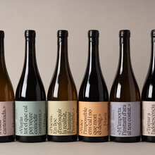 Inspira Vi i Cultura