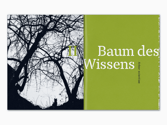 GROW. Der Baum in der Kunst 5
