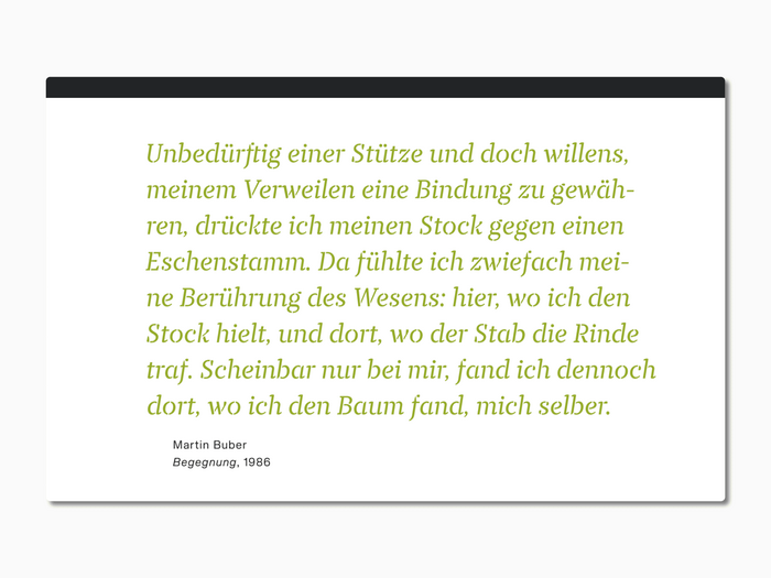 GROW. Der Baum in der Kunst 7