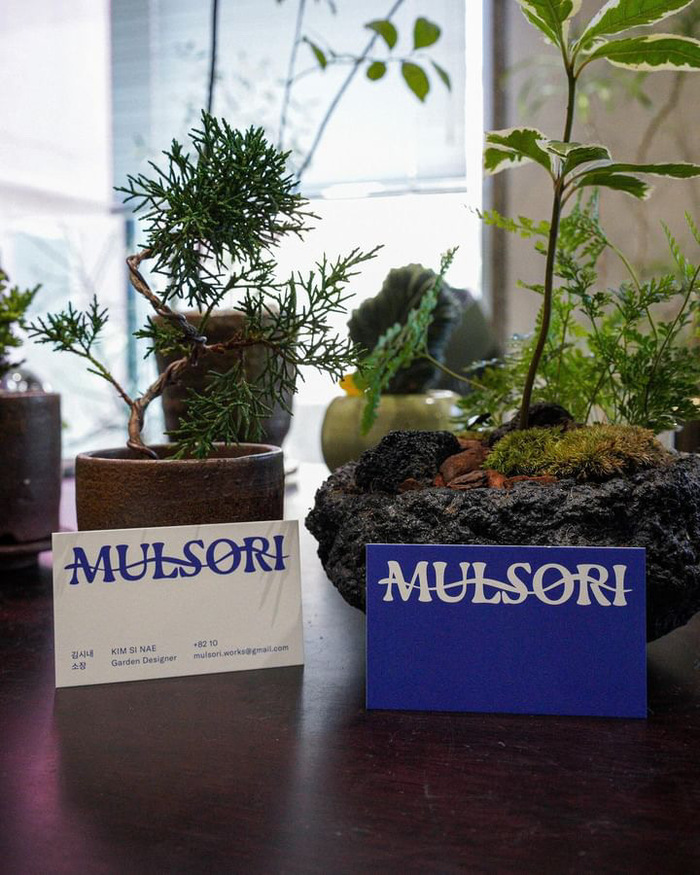 Mulsori 3