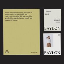 Baylon identity
